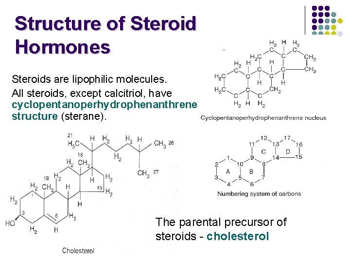 Structure of Steroid Hormones Steroids are lipophilic molecules. All steroids, except calcitriol, have cyclopentanoperhydrophenanthrene