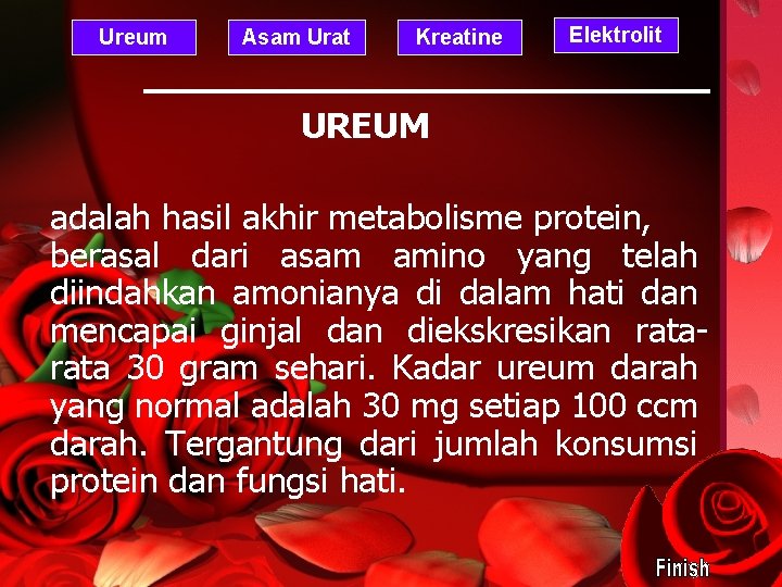 Ureum Asam Urat Kreatine Elektrolit UREUM adalah hasil akhir metabolisme protein, berasal dari asam