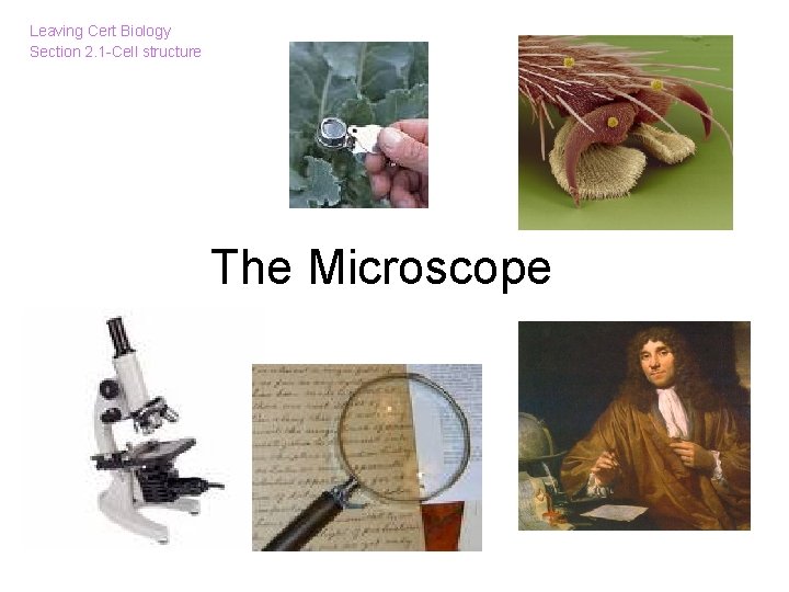 Leaving Cert Biology Section 2. 1 -Cell structure The Microscope 