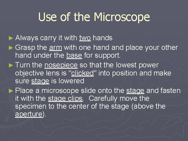 Use of the Microscope ► Always carry it with two hands ► Grasp the