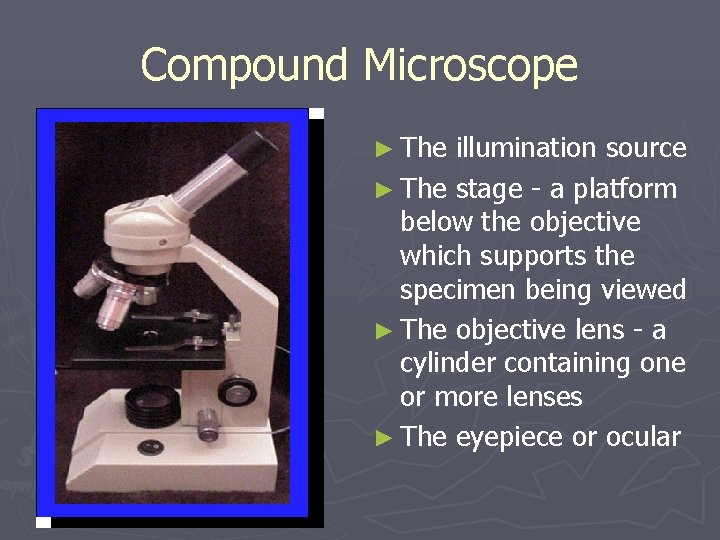 Compound Microscope ► The illumination source ► The stage - a platform below the