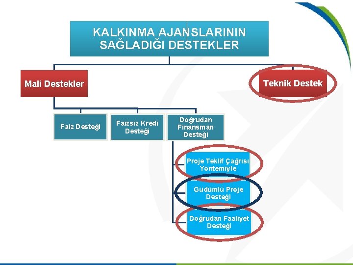 KALKINMA AJANSLARININ SAĞLADIĞI DESTEKLER Teknik Destek Mali Destekler Faiz Desteği Faizsiz Kredi Desteği Doğrudan