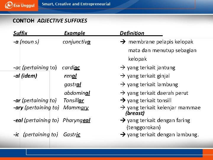 CONTOH ADJECTIVE SUFFIXES Suffix -a (noun s) Example conjunctiva -ac (pertaining to) cardiac -al