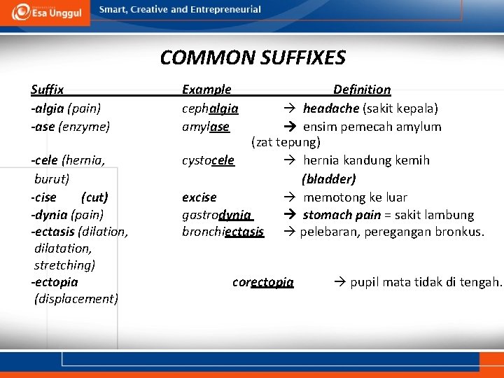 COMMON SUFFIXES Suffix -algia (pain) -ase (enzyme) -cele (hernia, burut) -cise (cut) -dynia (pain)