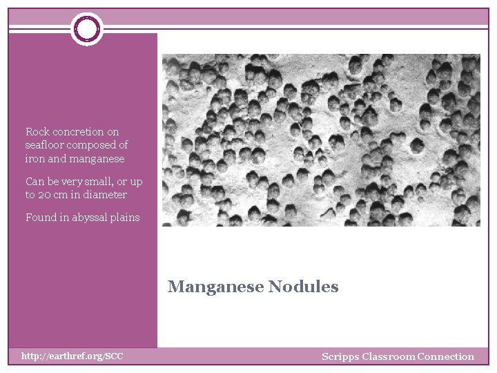 Rock concretion on seafloor composed of iron and manganese Can be very small, or