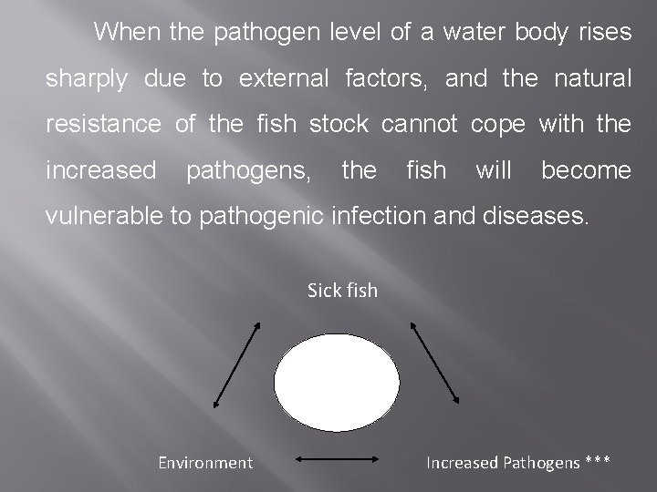 When the pathogen level of a water body rises sharply due to external factors,