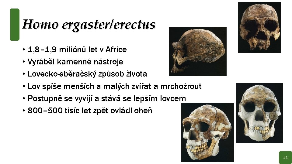 Homo ergaster/erectus • 1, 8– 1, 9 miliónů let v Africe • Vyráběl kamenné