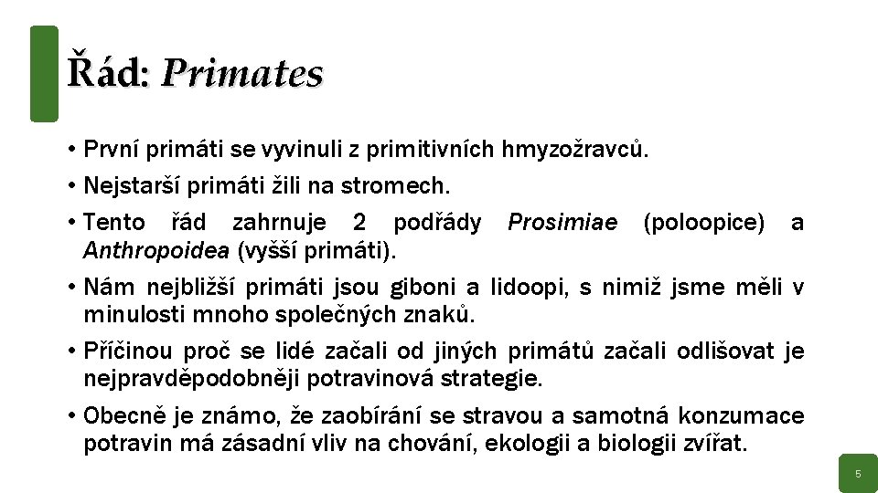 Řád: Primates • První primáti se vyvinuli z primitivních hmyzožravců. • Nejstarší primáti žili