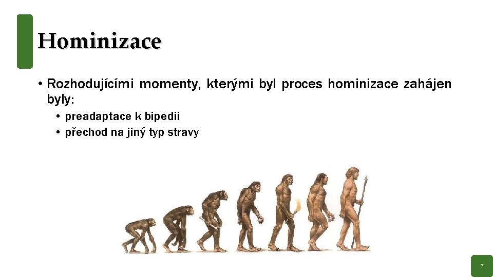 Hominizace • Rozhodujícími momenty, kterými byl proces hominizace zahájen byly: • preadaptace k bipedii