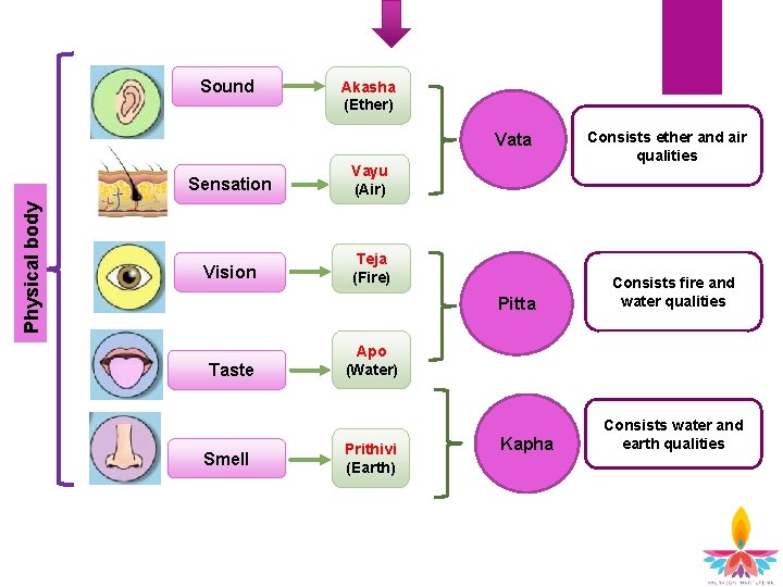 Sound Akasha (Ether) Physical body Vata Sensation Vayu (Air) Vision Teja (Fire) Pitta Taste Sound Akasha (Ether) Physical body Vata Sensation Vayu (Air) Vision Teja (Fire) Pitta Taste