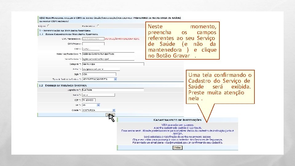 Neste momento, preencha os campos referentes ao seu Serviço de Saúde (e não da