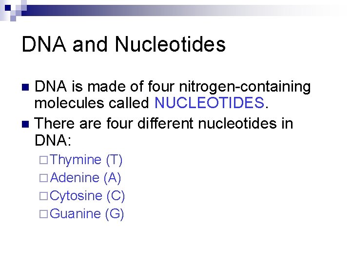 DNA and Nucleotides DNA is made of four nitrogen-containing molecules called NUCLEOTIDES. n There