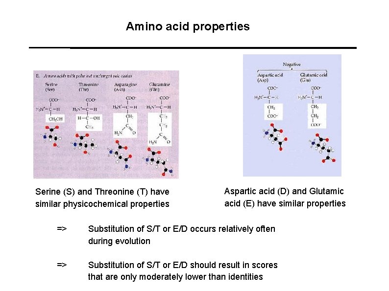 Amino acid properties Serine (S) and Threonine (T) have similar physicochemical properties Aspartic acid