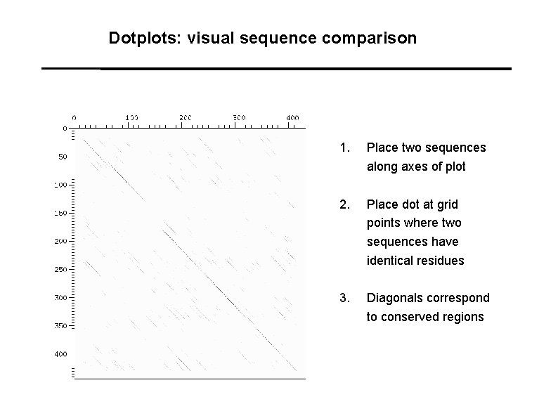 Dotplots: visual sequence comparison 1. Place two sequences along axes of plot 2. Place