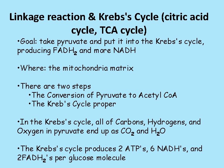 Linkage reaction & Krebs's Cycle (citric acid cycle, TCA cycle) • Goal: take pyruvate