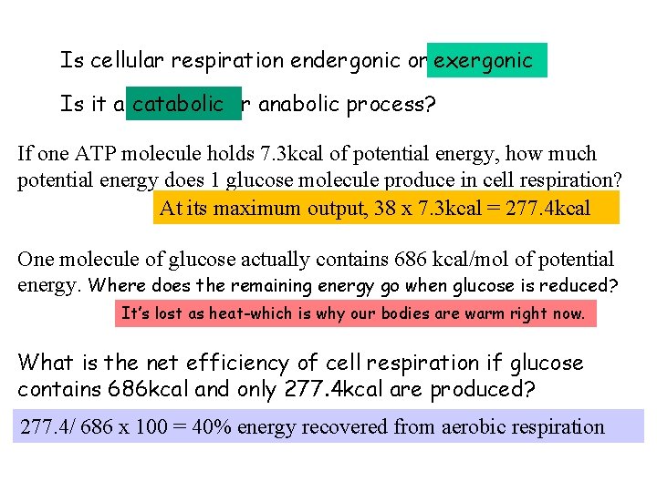 Is cellular respiration endergonic or exergonic? Is it a catabolic or anabolic process? If