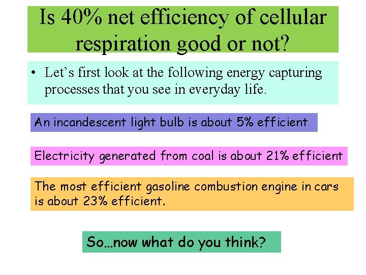 Is 40% net efficiency of cellular respiration good or not? • Let’s first look