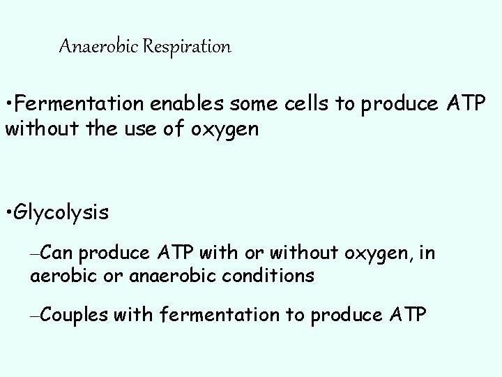 Anaerobic Respiration • Fermentation enables some cells to produce ATP without the use of