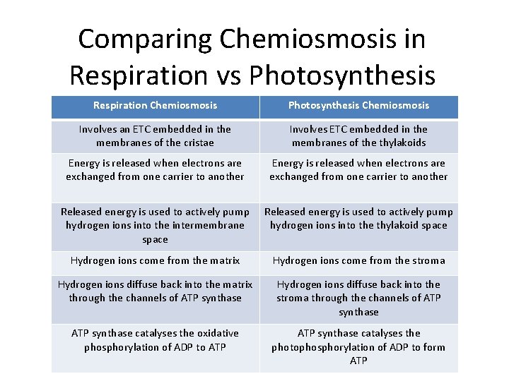 Comparing Chemiosmosis in Respiration vs Photosynthesis Respiration Chemiosmosis Photosynthesis Chemiosmosis Involves an ETC embedded