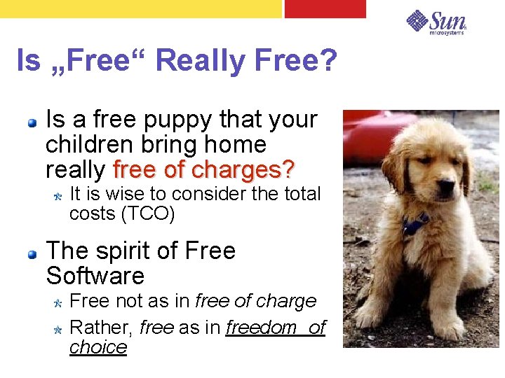Is „Free“ Really Free? Is a free puppy that your children bring home really