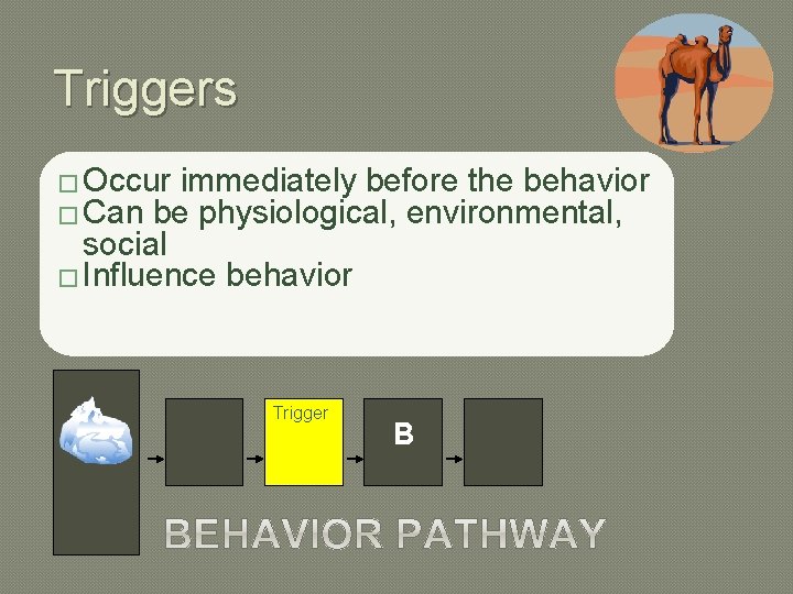 Triggers � Occur immediately before the behavior � Can be physiological, environmental, social �