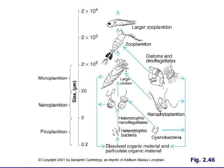 Fig. 2. 46 