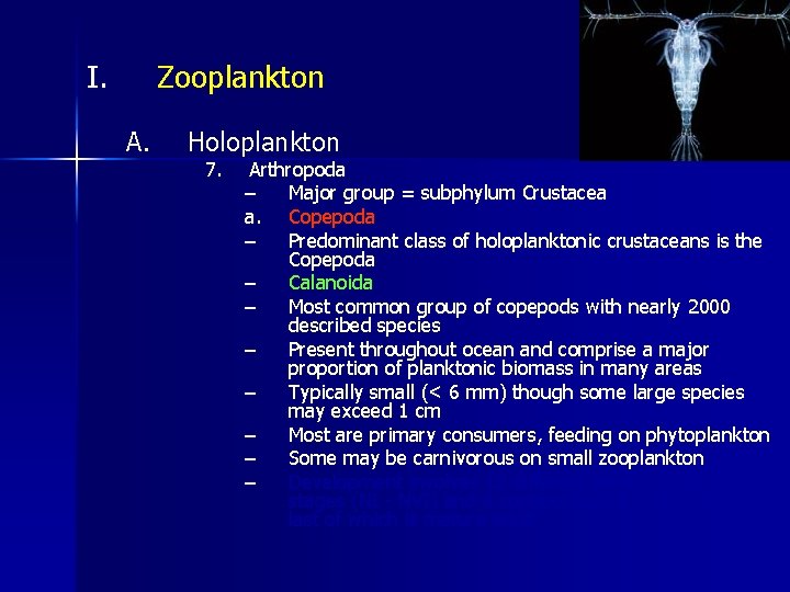 I. Zooplankton A. Holoplankton 7. Arthropoda – Major group = subphylum Crustacea a. Copepoda