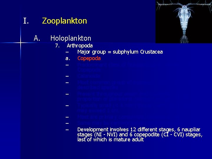 I. Zooplankton A. Holoplankton 7. Arthropoda – Major group = subphylum Crustacea a. Copepoda