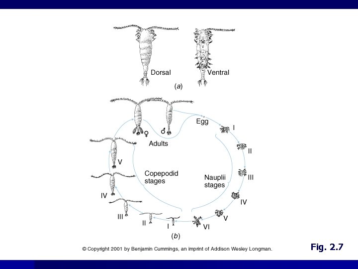 Fig. 2. 7 