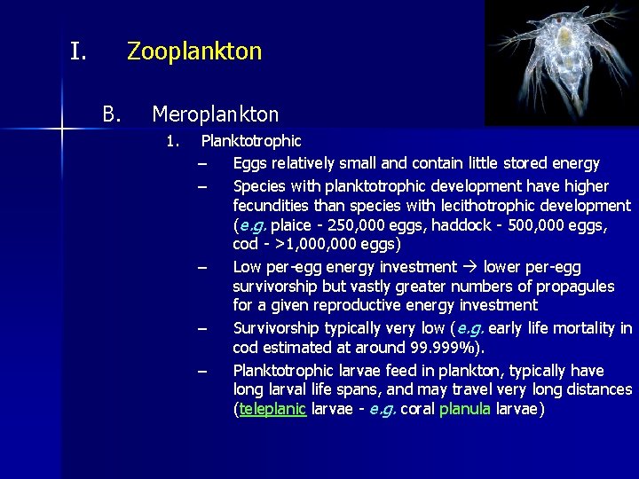 I. Zooplankton B. Meroplankton 1. Planktotrophic – Eggs relatively small and contain little stored