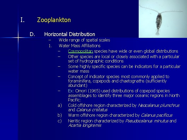 I. Zooplankton D. Horizontal Distribution – 1. Wide range of spatial scales Water Mass