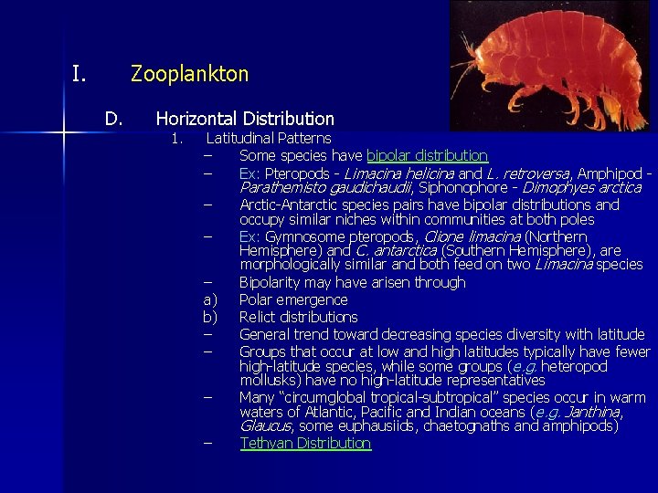I. Zooplankton D. Horizontal Distribution 1. Latitudinal Patterns – Some species have bipolar distribution