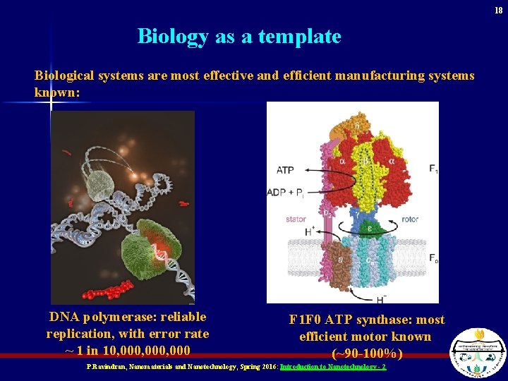 18 Biology as a template Biological systems are most effective and efficient manufacturing systems