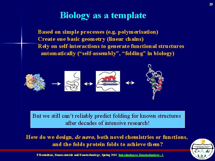 19 Biology as a template Based on simple processes (e. g. polymerisation) Create one