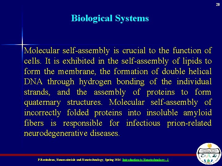 20 Biological Systems Molecular self-assembly is crucial to the function of cells. It is