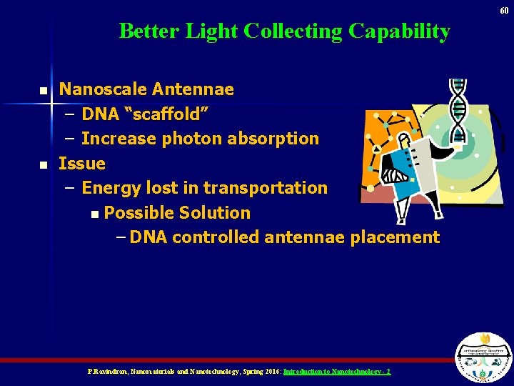 60 Better Light Collecting Capability n n Nanoscale Antennae – DNA “scaffold” – Increase
