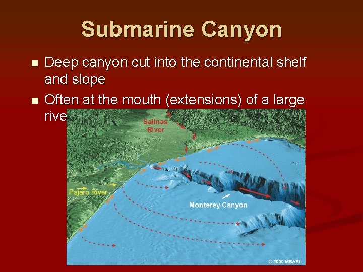 Submarine Canyon n n Deep canyon cut into the continental shelf and slope Often