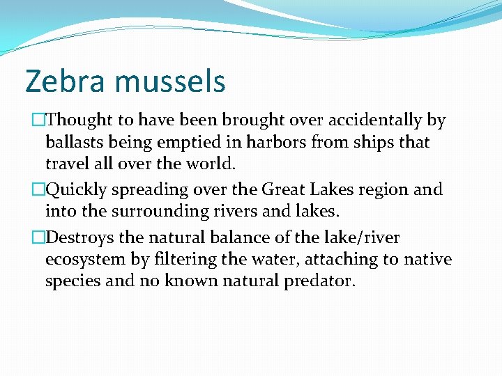 Zebra mussels �Thought to have been brought over accidentally by ballasts being emptied in