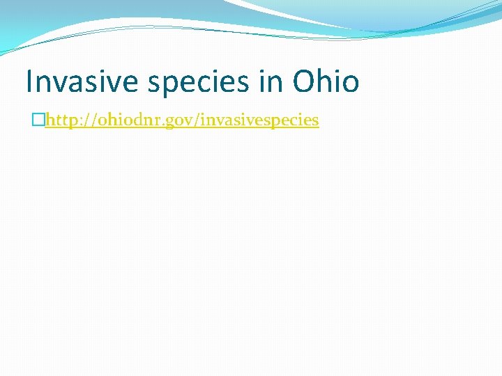 Invasive species in Ohio �http: //ohiodnr. gov/invasivespecies 