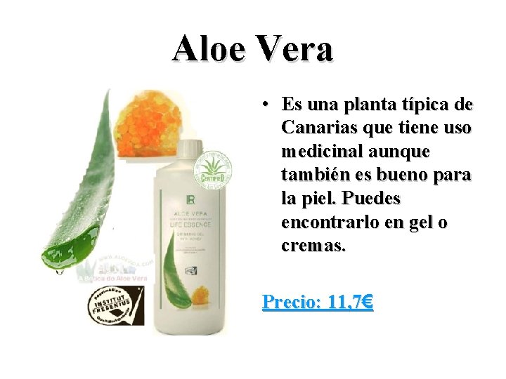 Aloe Vera • Es una planta típica de Canarias que tiene uso medicinal aunque