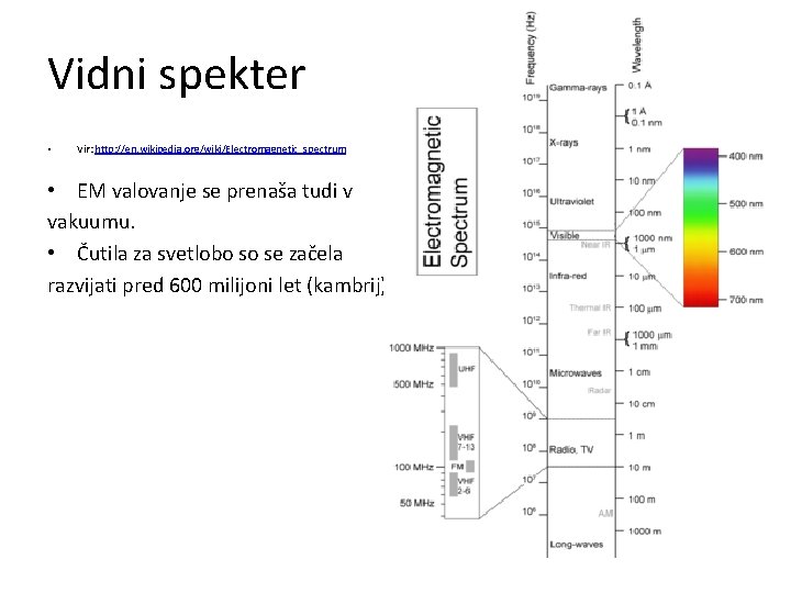 Vidni spekter • Vir: http: //en. wikipedia. org/wiki/Electromagnetic_spectrum • EM valovanje se prenaša tudi