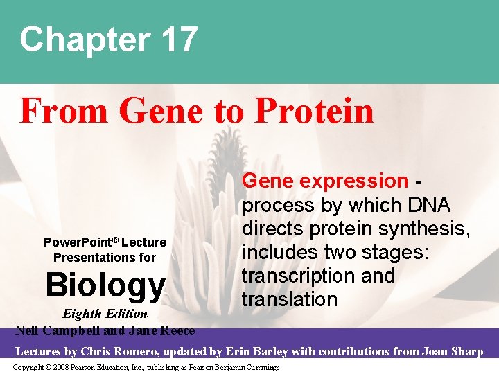 Chapter 17 From Gene to Protein Power. Point® Lecture Presentations for Biology Eighth Edition