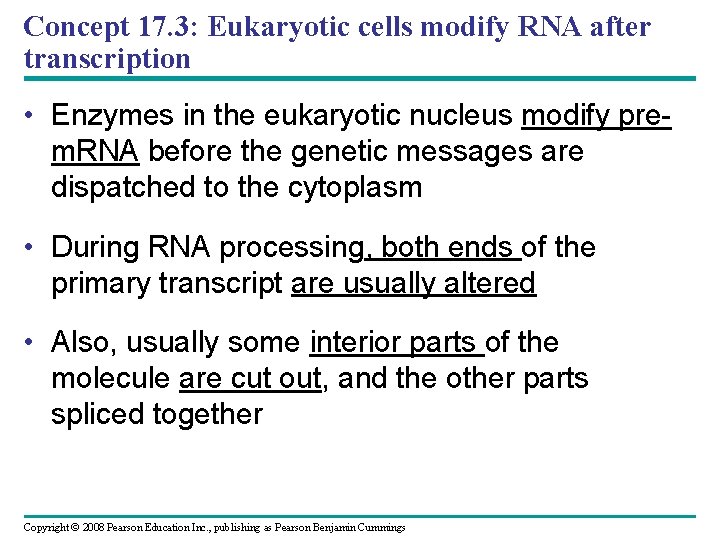 Concept 17. 3: Eukaryotic cells modify RNA after transcription • Enzymes in the eukaryotic