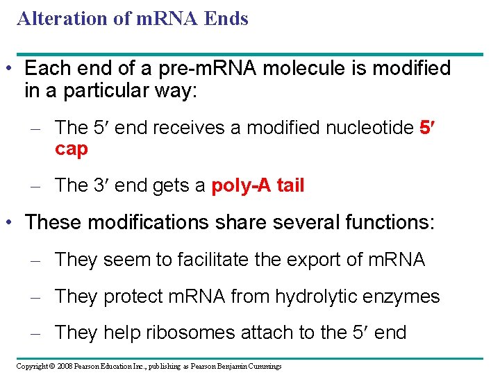 Alteration of m. RNA Ends • Each end of a pre-m. RNA molecule is