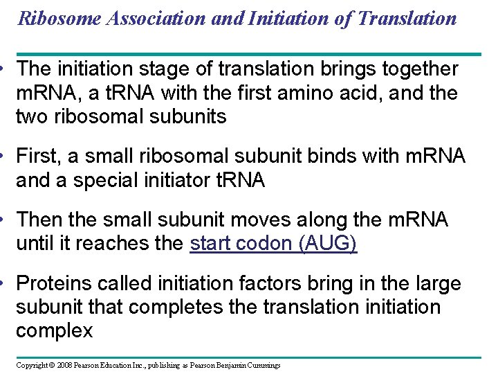 Ribosome Association and Initiation of Translation • The initiation stage of translation brings together