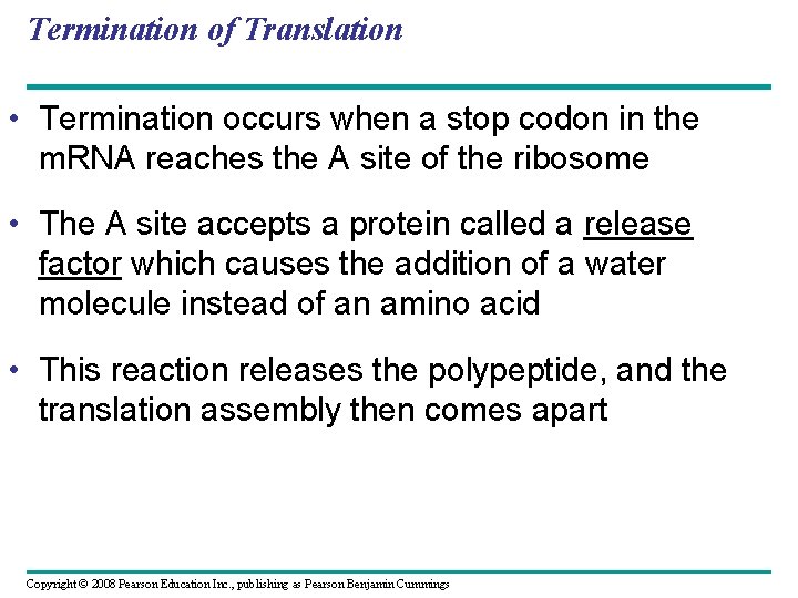 Termination of Translation • Termination occurs when a stop codon in the m. RNA