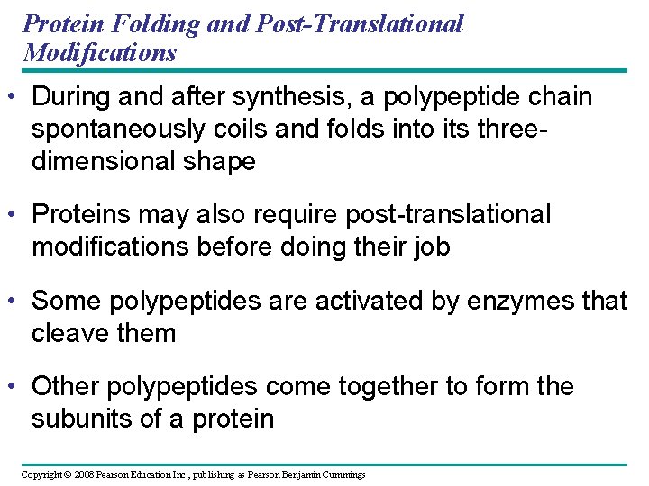 Protein Folding and Post-Translational Modifications • During and after synthesis, a polypeptide chain spontaneously