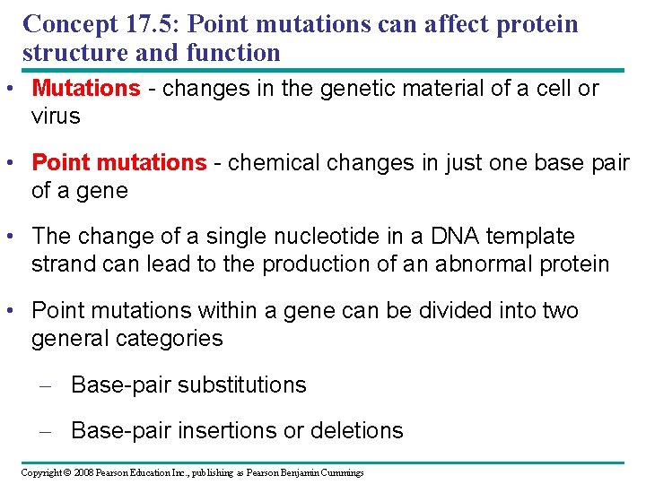 Concept 17. 5: Point mutations can affect protein structure and function • Mutations -