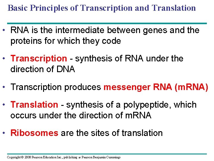 Basic Principles of Transcription and Translation • RNA is the intermediate between genes and