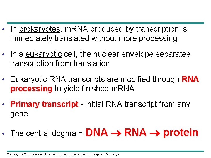  • In prokaryotes, m. RNA produced by transcription is immediately translated without more